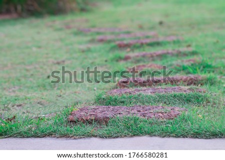 Red stone walkway On the green lawn in front of the house. The image is partially clear.