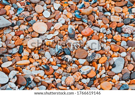 Full frame view of wet pebbles and shells. Multicolored natural pattern, selective focus
