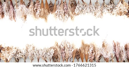 Picture of dry flowers for use as a background image