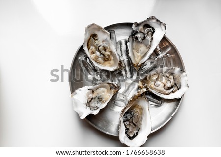 Fresh oysters with lemon. On a white background. Top view. 