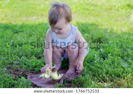 Little girl playing with two ducklings. Cute baby girl with summer ducklings.  Summer in the country. Easter and baby ducks. Kids and animals