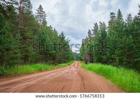 The road goes deep into the forest, rich colors after the rain