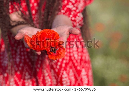 
The girl holds the delicate light petals of poppies in her hands on a sunny day in a red dress.