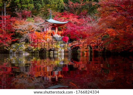 Young Japanese girl traveller in traditional kimino dress standing in Digoji temple with red pagoda and red maple leaf in autumn season in Kyoto, Japan. Japan tourism, nature life Royalty-Free Stock Photo #1766824334