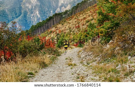 athlete runner run mountain trail on long descent. autumn marathon race