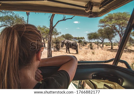 Watching an elephant really close out of a jeep at a safari in Tanzania Royalty-Free Stock Photo #1766882177