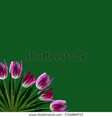 Greeting card template with realistic beautiful blooming tulips pink colors, green leaves on deep green background.