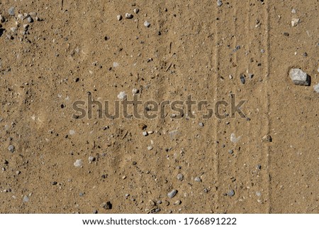 Background from dense light yellow sand and small stones.