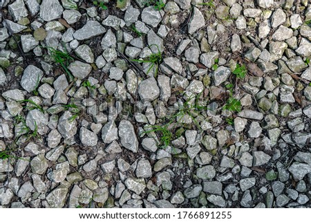Textural and not evenly lit background of gray stones, among which grass grows.