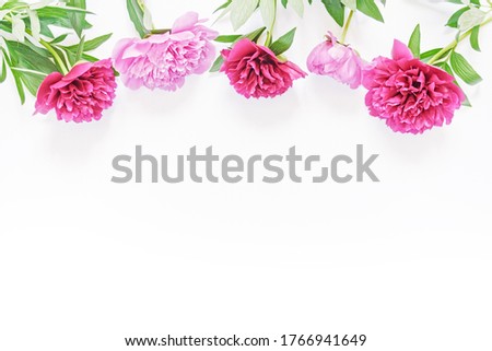 Flower composition. Fresh peonies (pink and red) are isolated on a white background. Flat lay. Copy space.