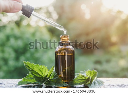 Wild organic Urtica dioica, common nettle, stinging nettle tincture in small brown glass bottle outdoors. Woman taking drop with dropper. Lifestyle shot, bokeh background with copy space. Royalty-Free Stock Photo #1766943830