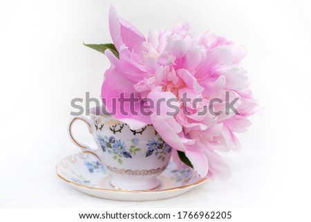 Peony in a vintage tea cup