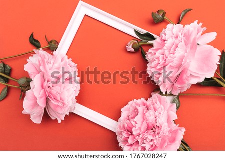 White picture frame decorated with pink peony flower on red background.Copy space for text,top view,flat lay,selective focus