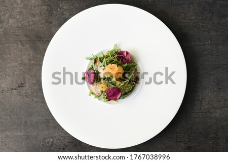 Sea Bass Carpaccio with Red Arugula. Selective Focus Point. Fine Dining Food Plating. Top View.  Royalty-Free Stock Photo #1767038996