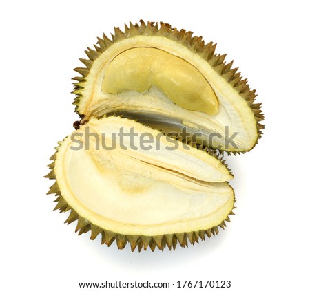 Ripe durian with thick thorns isolated on white background