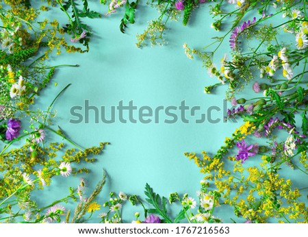 Flower Composition. Floral round frame. Various Beautiful colorful wildflowers with copy space on blue background. Spring, summer flat lay. Top view.