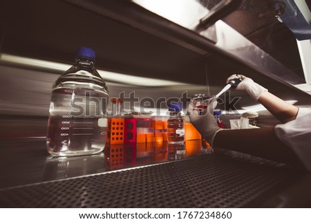 The women researcher using pipette and cell culture flask do the aseptic technique for changing the medium of adherent cell culture is needed to maintain cells and  growth cells Royalty-Free Stock Photo #1767234860
