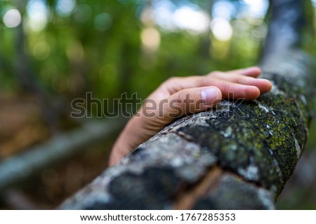 Close-up of the hand of a Caucasian man holding a branch of a young tree in a green virgin forest. Climate change, environmental protection, human impact on nature. Shallow depth of field. Royalty-Free Stock Photo #1767285353