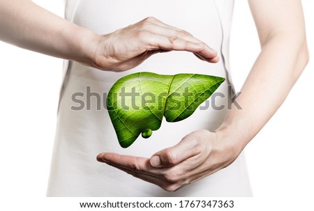 Image of a woman in a white dress and 3d model of the liver between her hands. Concept of healthy liver and donation. Royalty-Free Stock Photo #1767347363