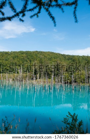 Quiet blue pond in summer
