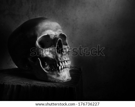 Still life fine art photography on human skeleton on wood log and red background black and white version with film grain
