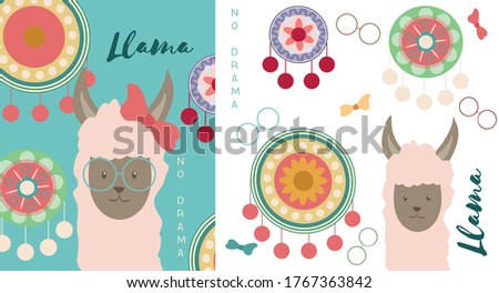 Llama cards. Baby llamas cute alpaca and patterned circle. cute llama use glasses. llama no drama summer concept. llama use glasses card. with isolated vector