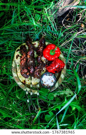 Moroccan lamb liver kebab on metallic plate..outdoor photo.selective focus