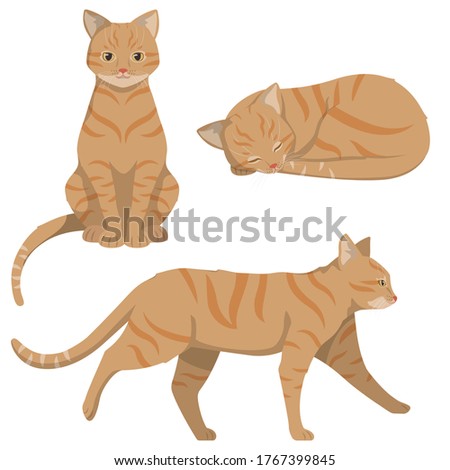 Red-headed cat in different poses. Beautiful pet in cartoon style.