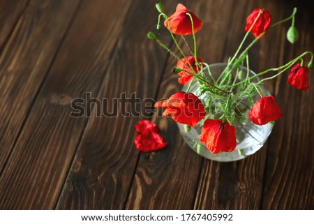 Bouquet of red poppies on brown wooden background. Memorial day concept
