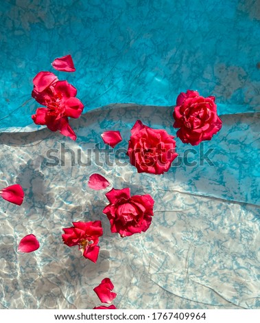 Red roses float on clear water in a blue pool