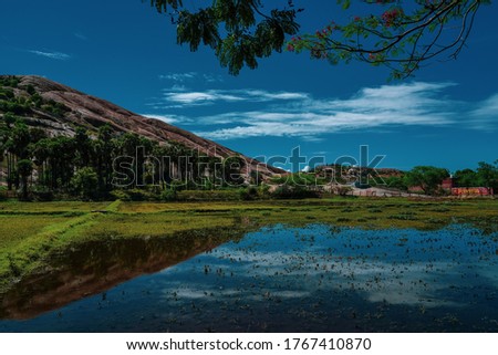 beautiful shot mountain rock hillock agricultural fields paddy green meadows trees blue skies madurai Tamilnadu india background wallpaper sunny day 