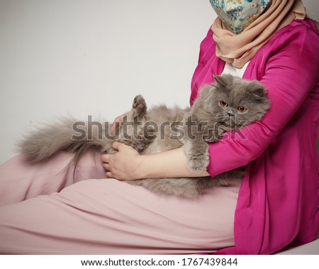 photoshoot of a grey cat that is spoiled with its owner using a white background