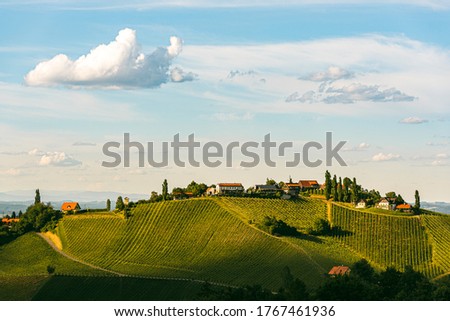 Beautiful landscape of Austrian vineyards in south Styria. Famous Tuscany like place to visit. Scenic view of idyllic Travel destination.