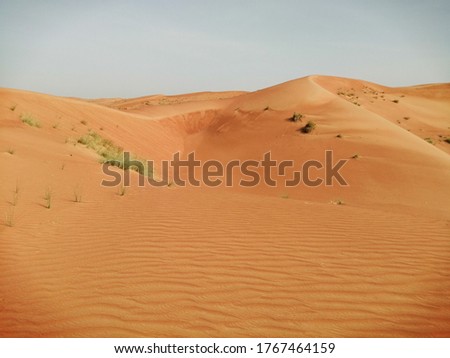 Beautiful sand ripples or sand waves caused by wind in desert sand dunes in Sharjah, United Arab Emirates, Middle East. Wind action constantly changes the height, shape, size and angle of the dunes.