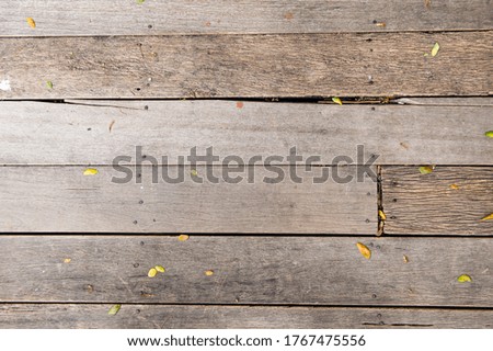Old wood background texture wall