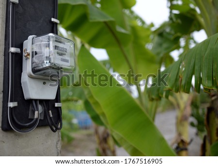 Close-up of electric meter photos With a banana tree as a blurred background