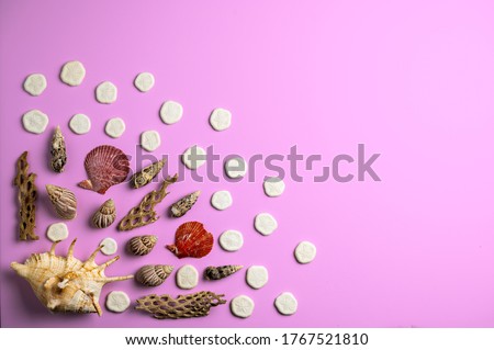 Ocean inspired flat lay composed of sea shells and star fish on pink