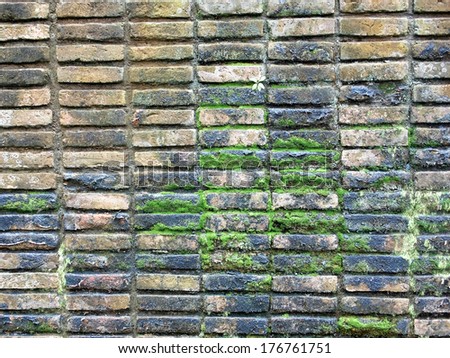 Old brick wall in a background image 