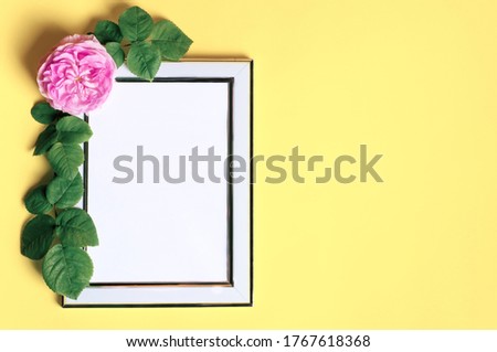 Natural beauty background with white frame and white rose flower. Summer beauty top view background.Ligth background.