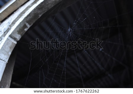 
A cobweb in an old house