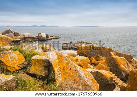 Rocks covered with Caloplaca marina lichen on the coast of Rua Islan in Arousa estuary, Galicia, Spain
