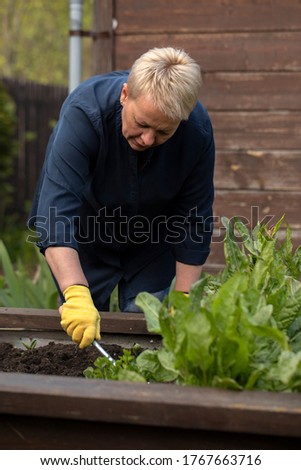 middle-aged female gardener loosens soil in flowerbed among flowers for planting plants in her garden. Gardening concept. anti-stress cure concept. open air free time concept. blogging concept