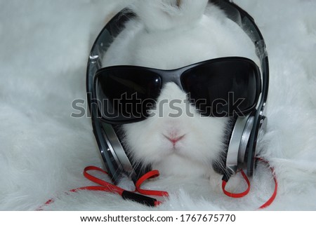 The rabbit sits in headphones and sunglasses listens to music. Decorative white lonely rabbit in headphones.