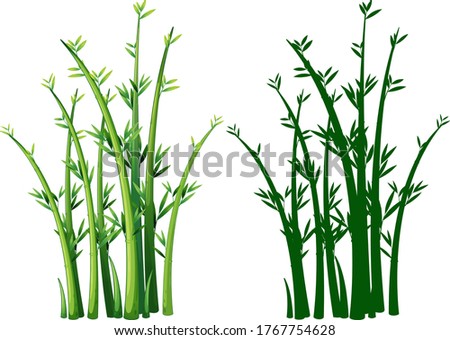 Set of bamboo plant illustration