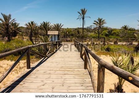 A closeup shot of wooden boardwalk in Guardamar, Spain