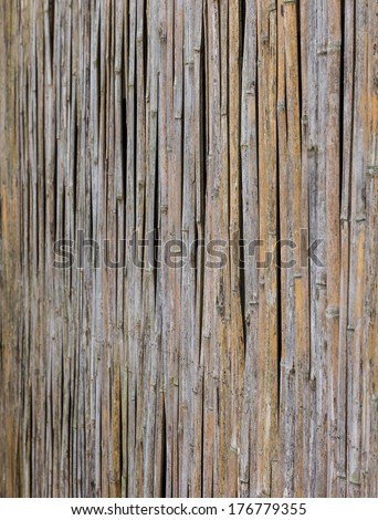 background ,texture of the bamboo is the wall pattern