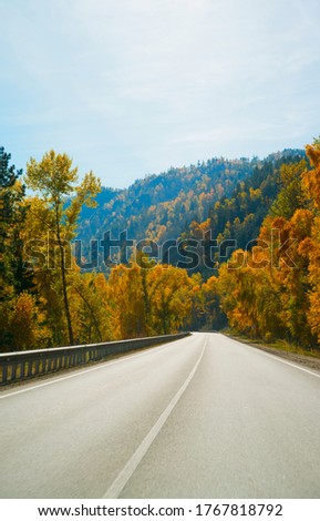 The road in the forest, around the mountains. Autumn, trees with yellow and green leaves. The concept of a healthy life and the way forward.