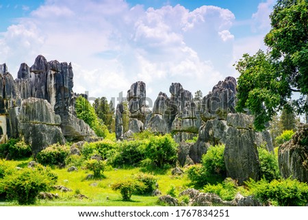 Kunming City,Stone Forest Scenic Is located in Kunming, Yunnan Province, China, and is a world Natural heritage