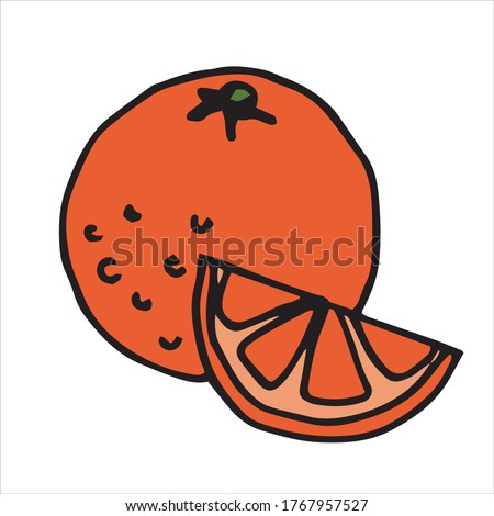 
vector illustration in doodle style, carton. orange. simple icon of orange and slice of orange, ripe mandarin. clip art fruit food