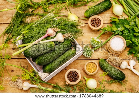 Pickling vegetables concept. Cooking process, spices, fresh fragrant herbs. Ripe cucumbers, old wooden table Royalty-Free Stock Photo #1768044689